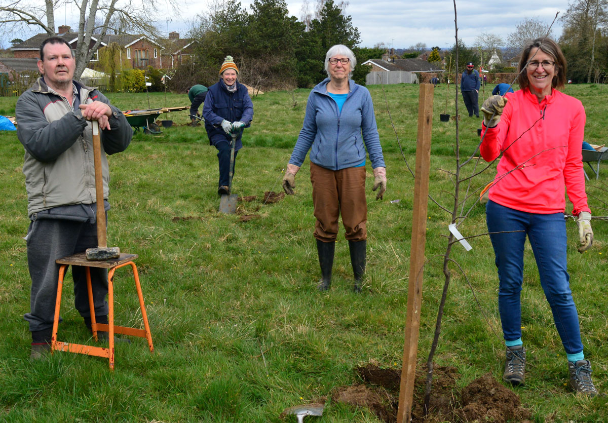Free fresh fruit from Browning Road Park orchard Banbury FM