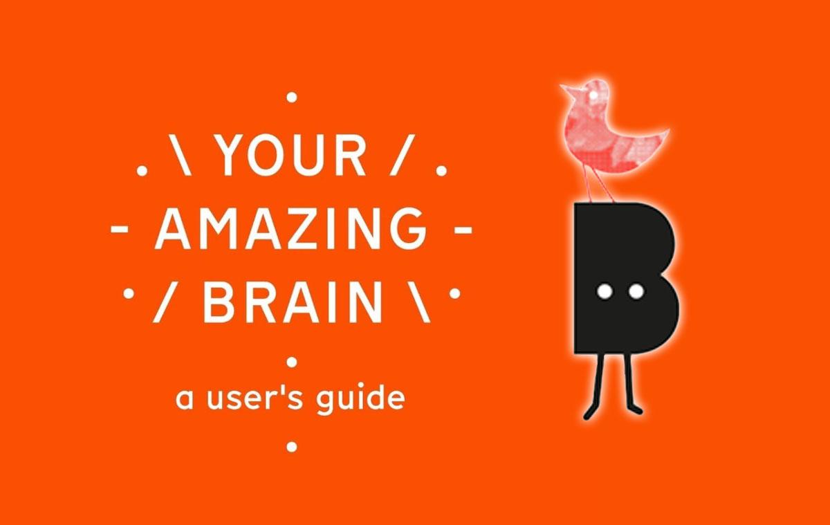 Your Amazing Brain