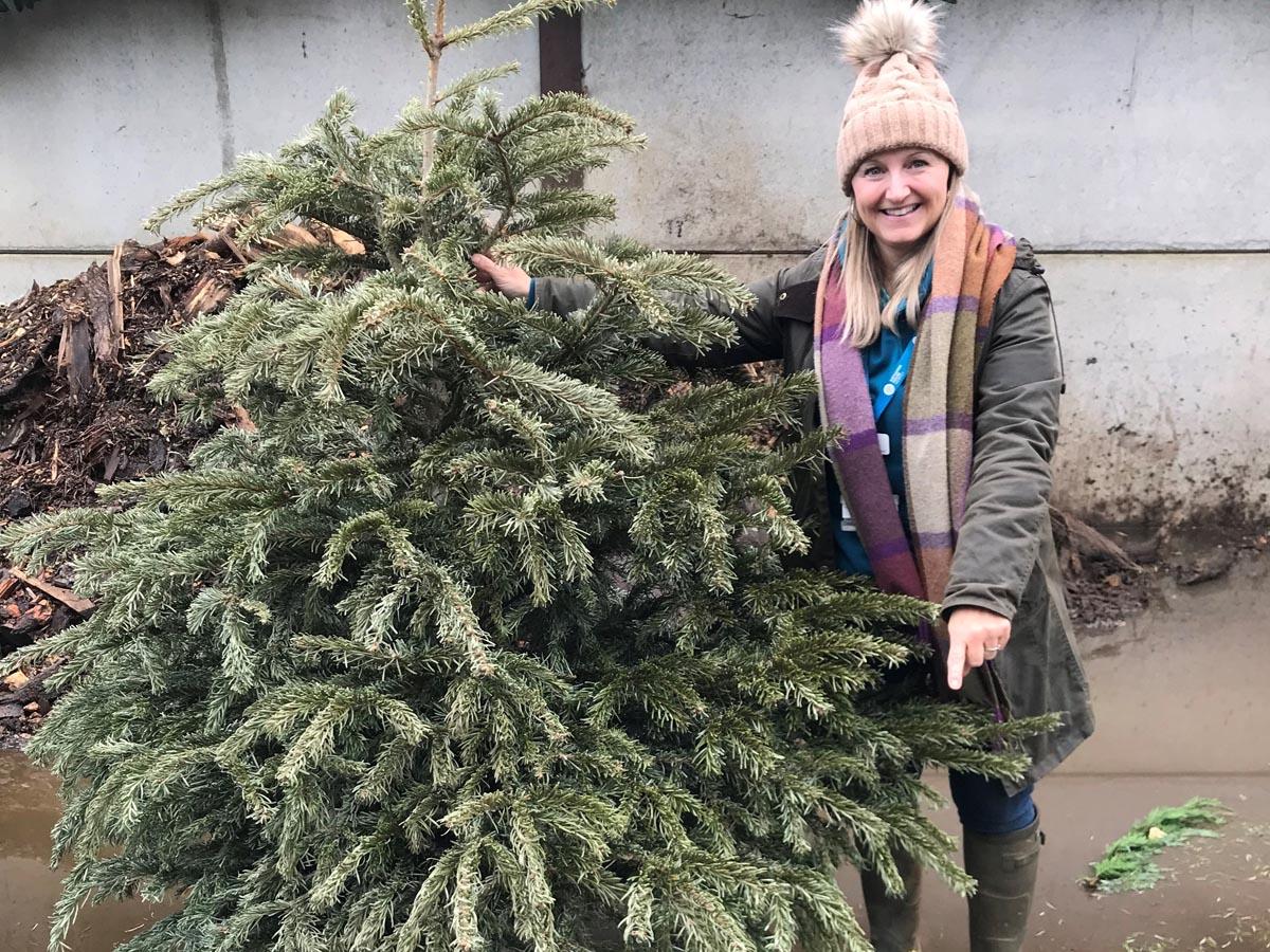 Treecycle for Katharine House this Christmas Banbury FM